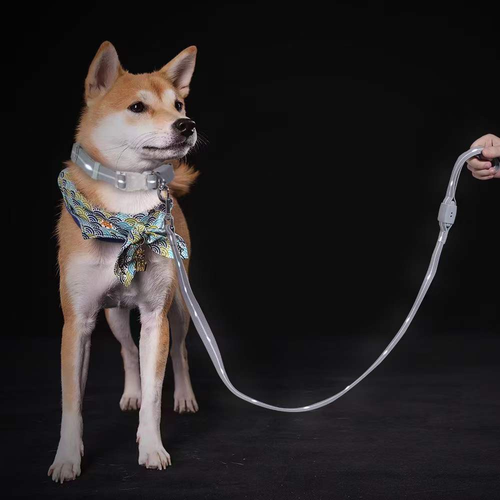 _20220630104657 _20220630104657