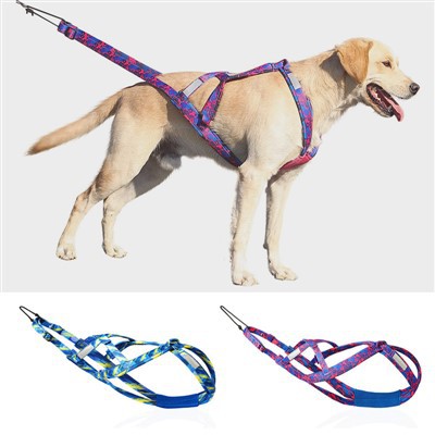 Abah-abah Kereta Luncur Anjing Untuk Menarik