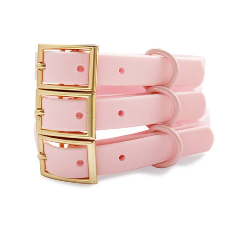 Kalis air bersalut pvc collar anjing peliharaan web